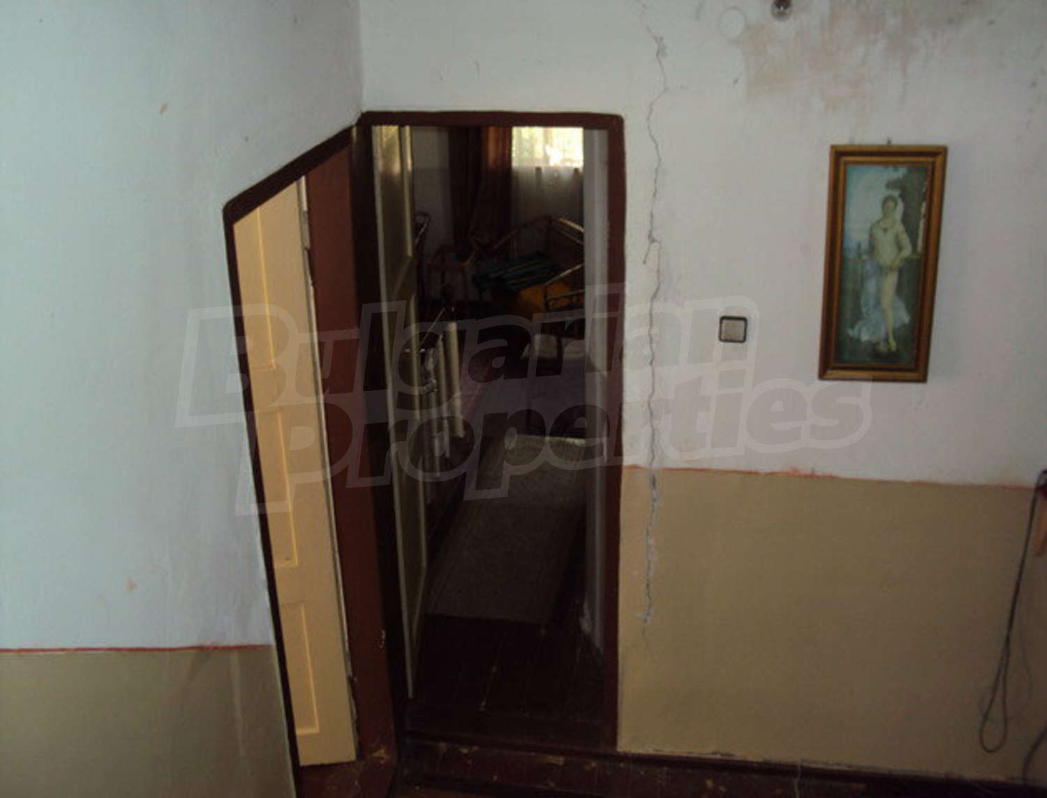 Gallery Picture 62