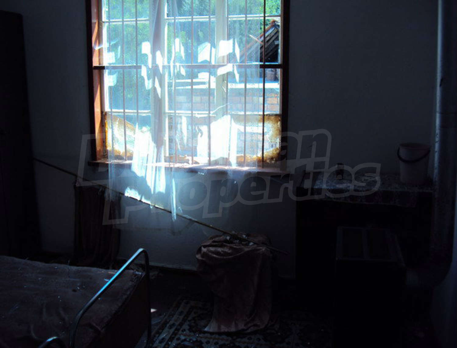 Gallery Picture 63