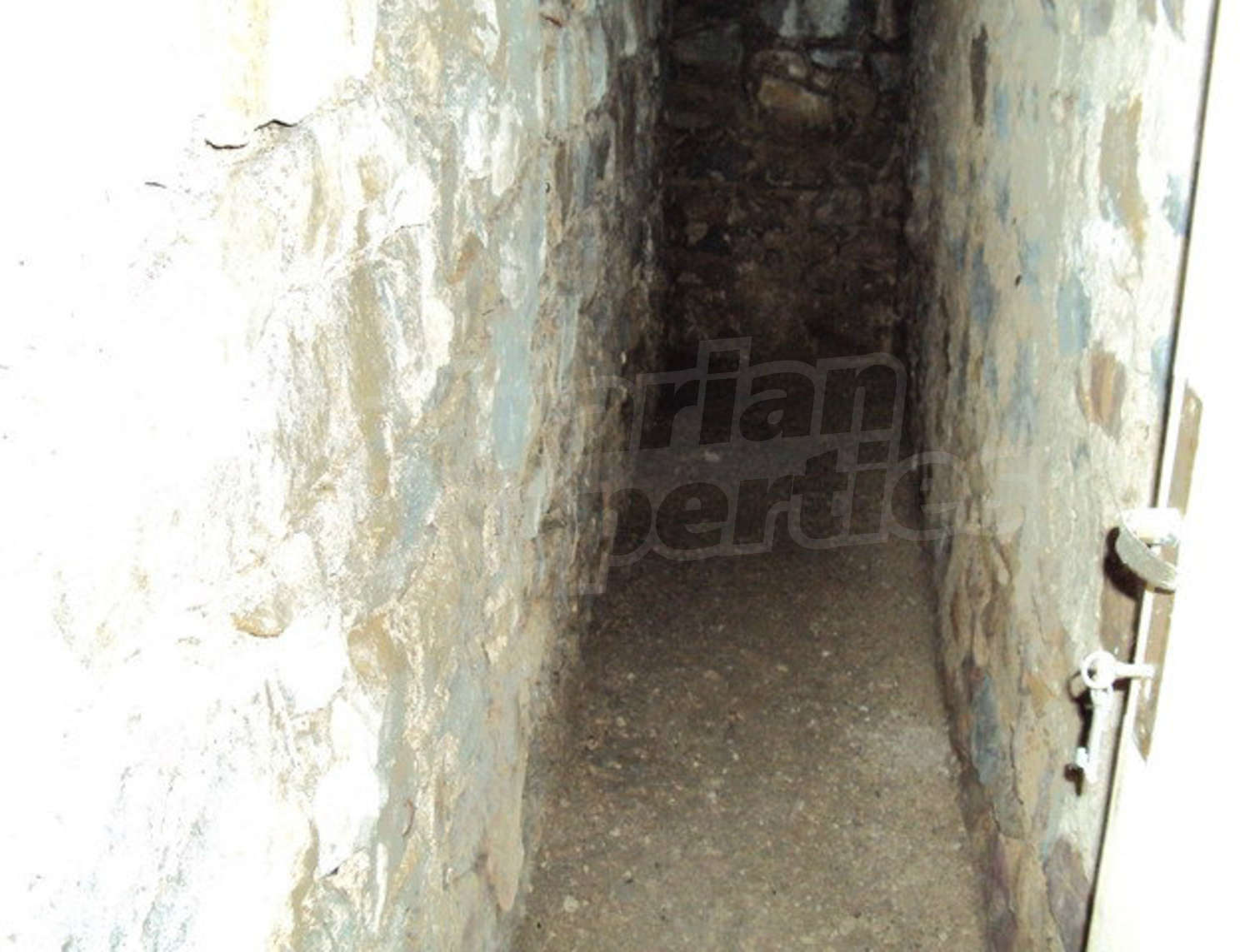 Gallery Picture 67