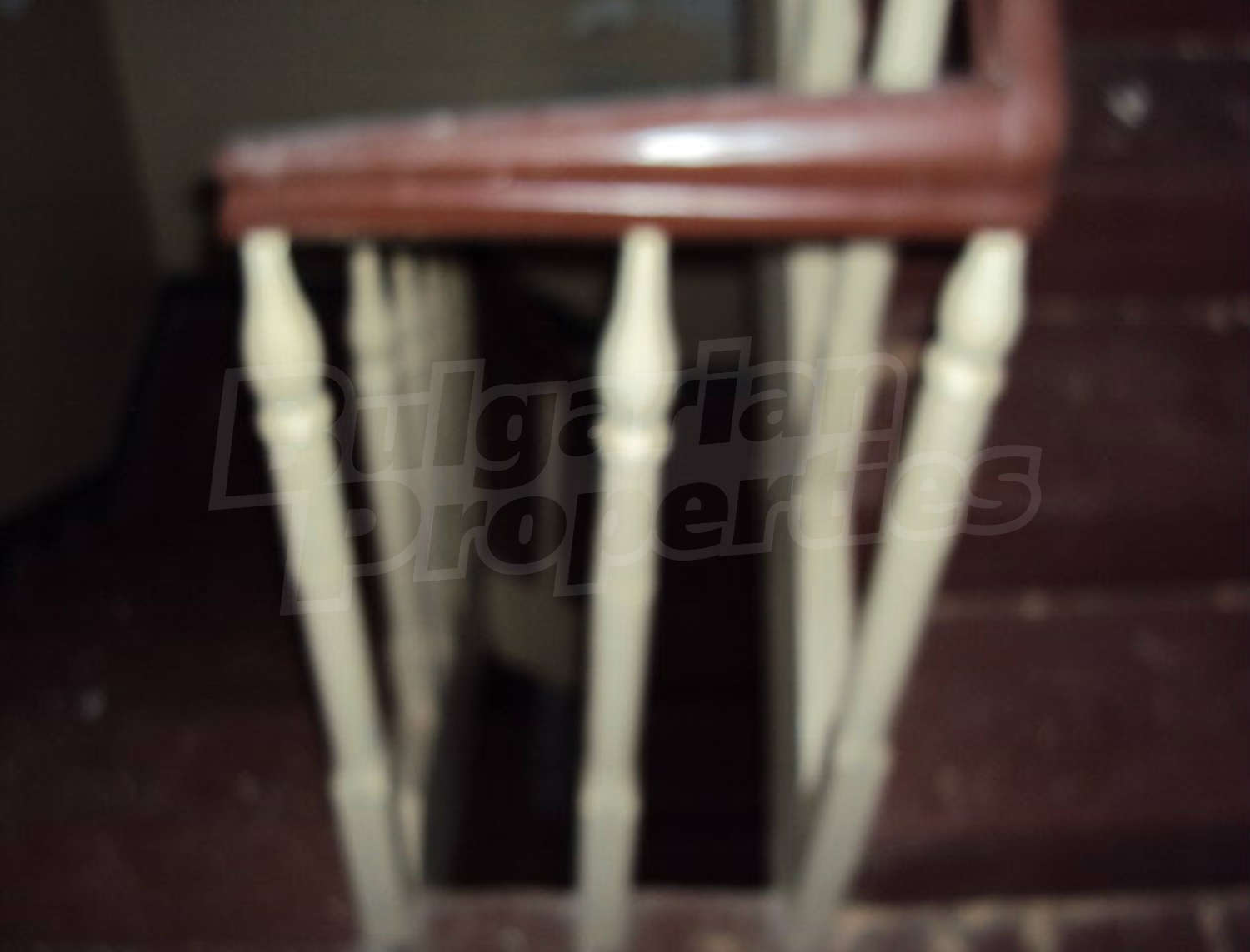 Gallery Picture 68