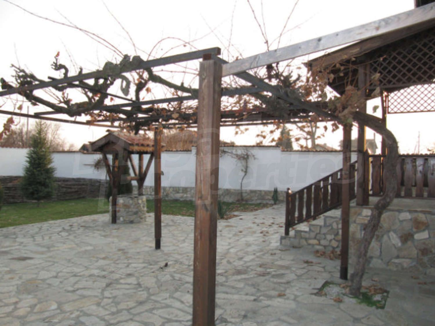 Gallery Picture 13