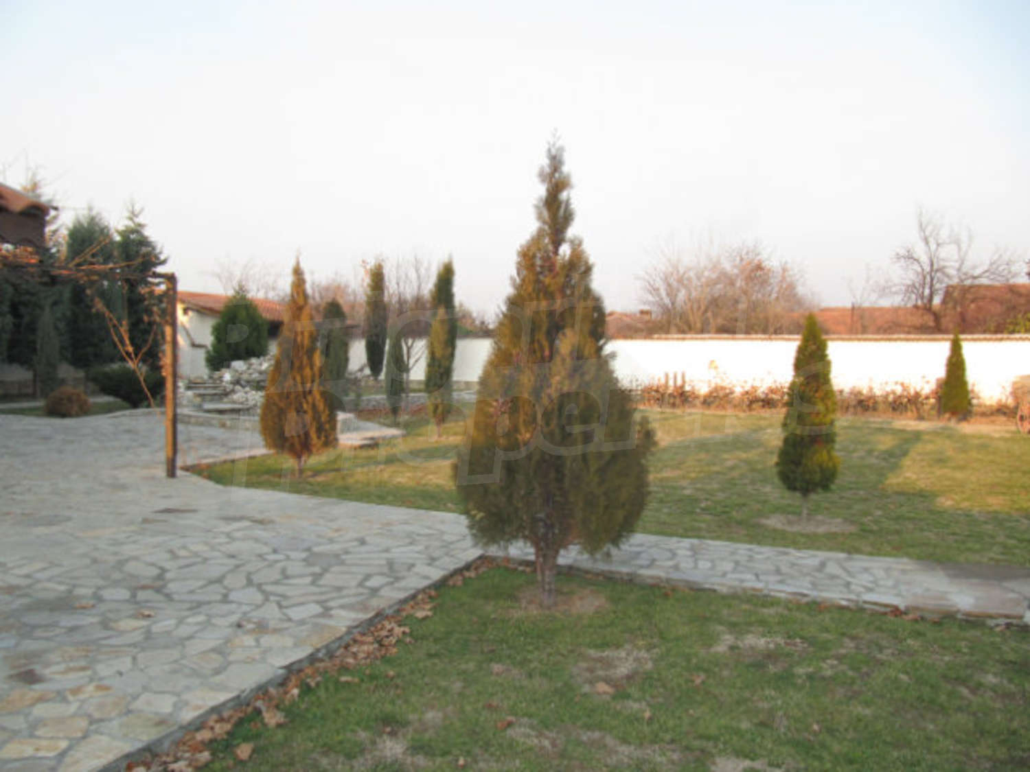 Gallery Picture 17