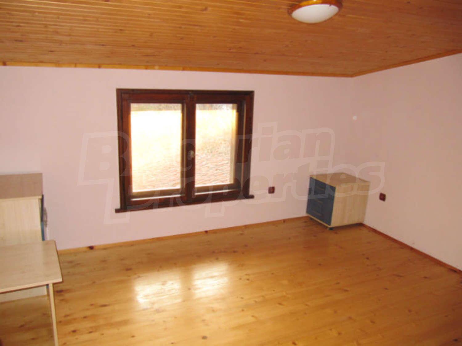 Gallery Picture 44