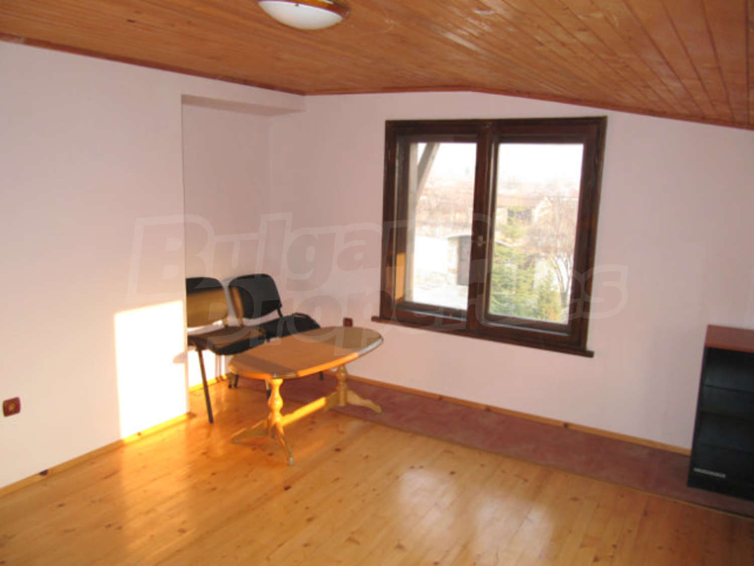 Gallery Picture 46