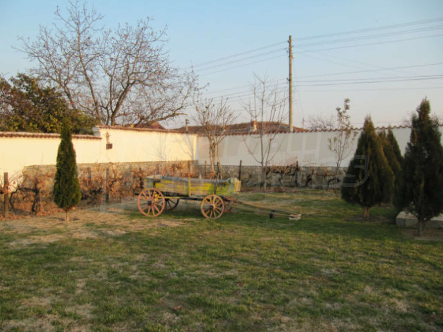 Gallery Picture 59