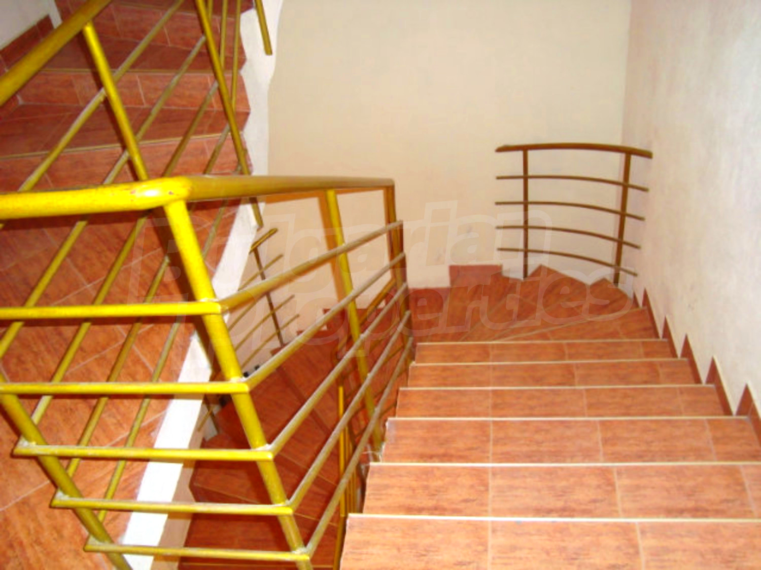 Gallery Picture 8