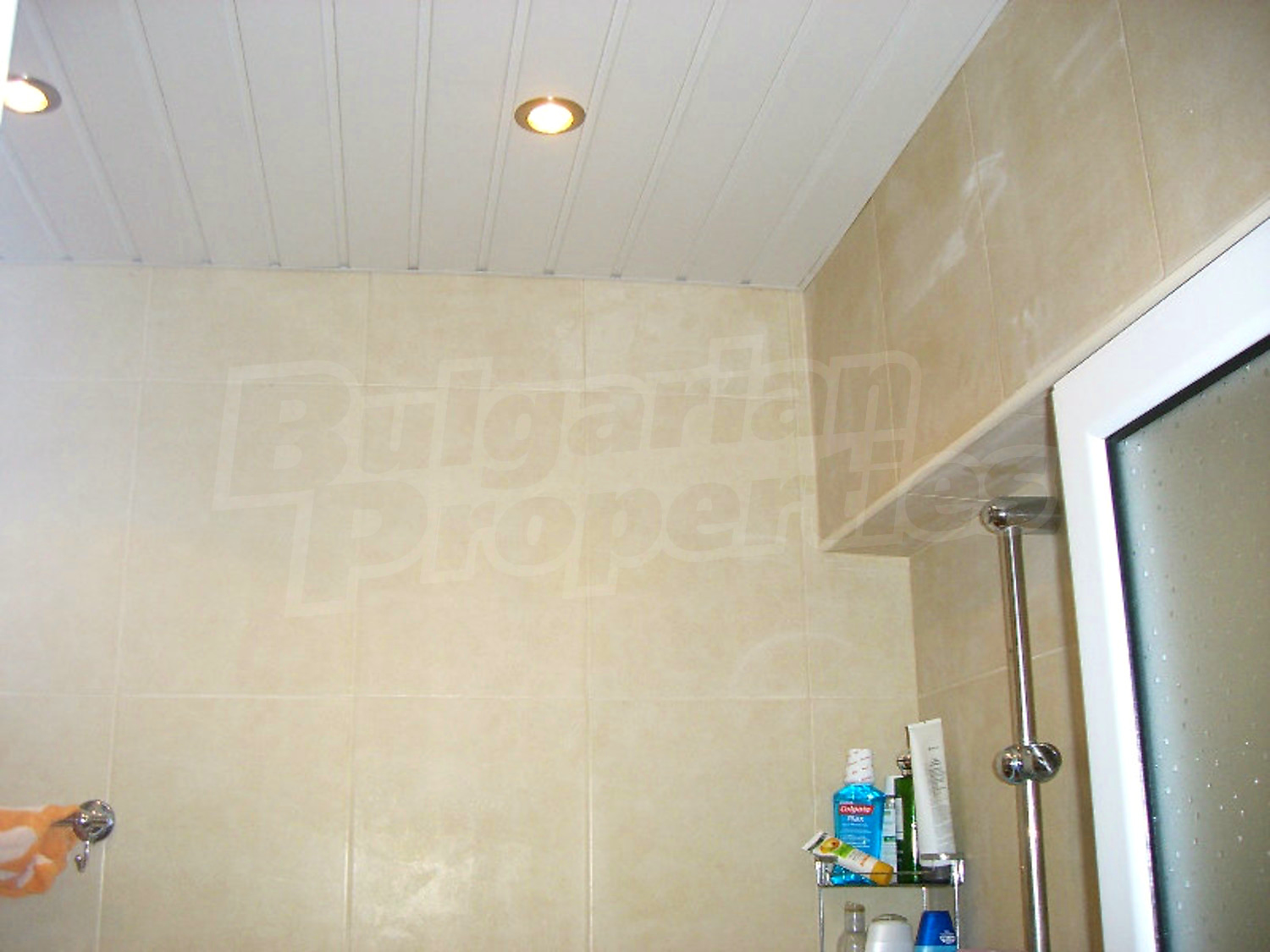 Gallery Picture 18