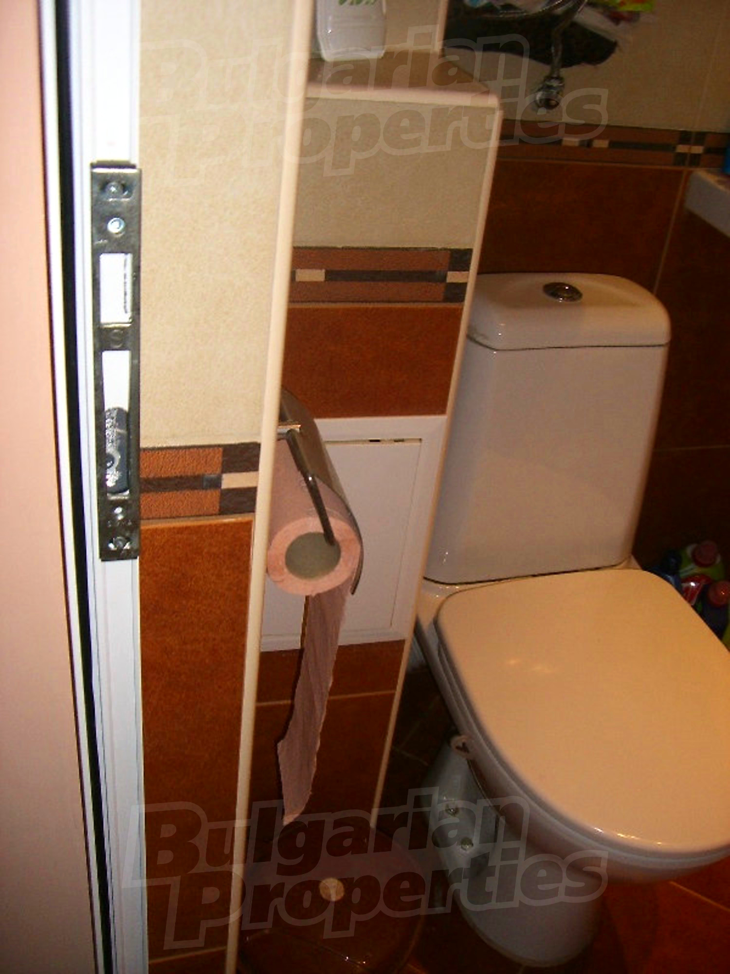Gallery Picture 19