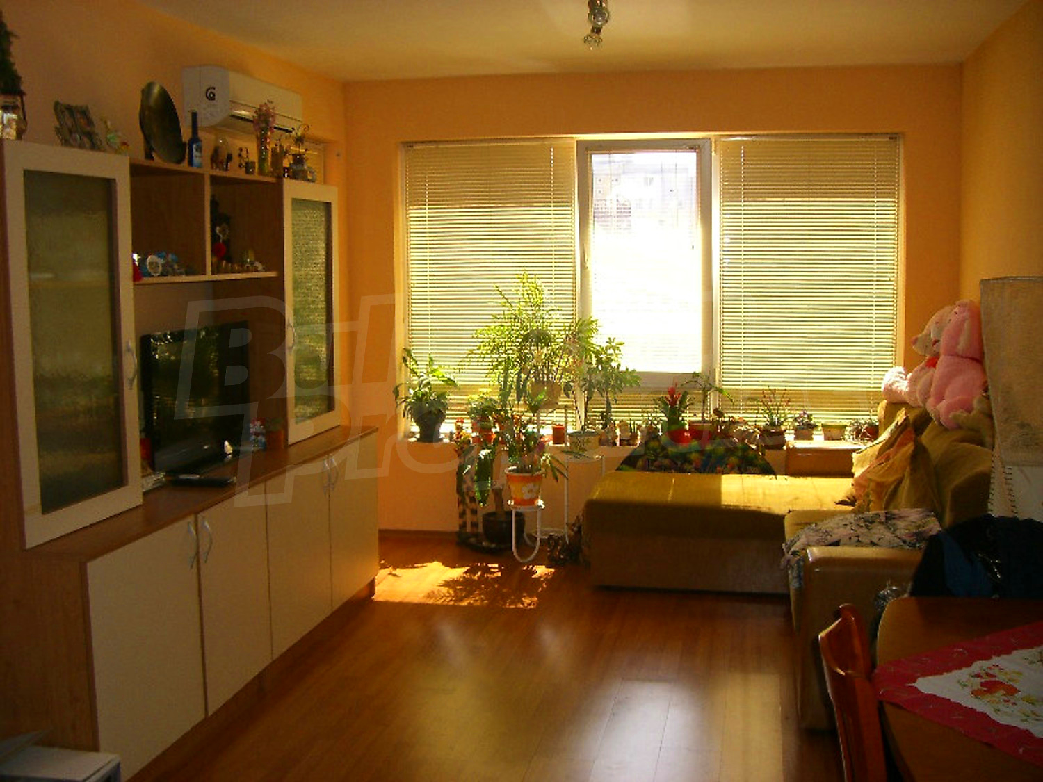 Gallery Picture 4