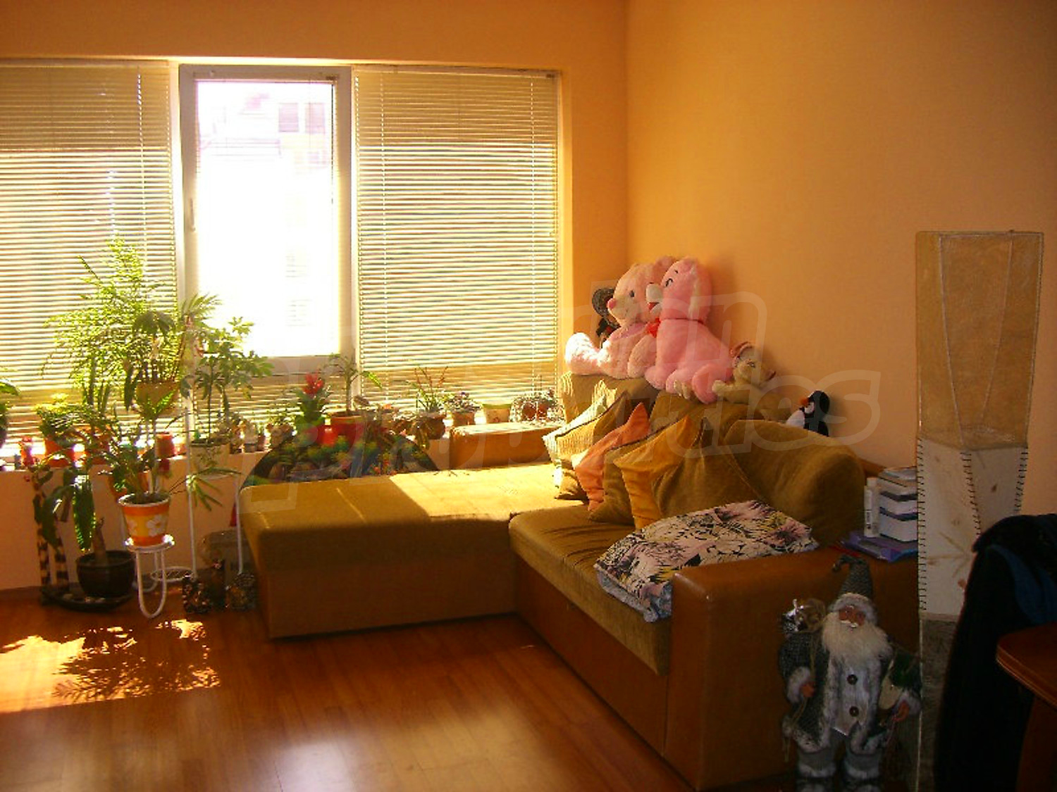 Gallery Picture 5