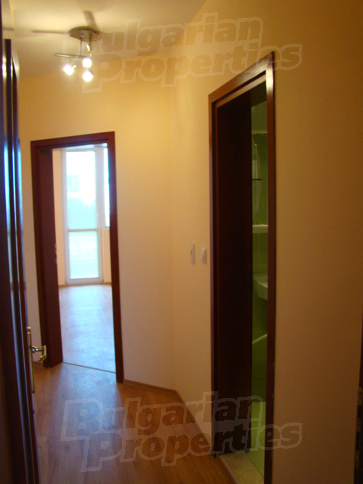 Gallery Picture 11