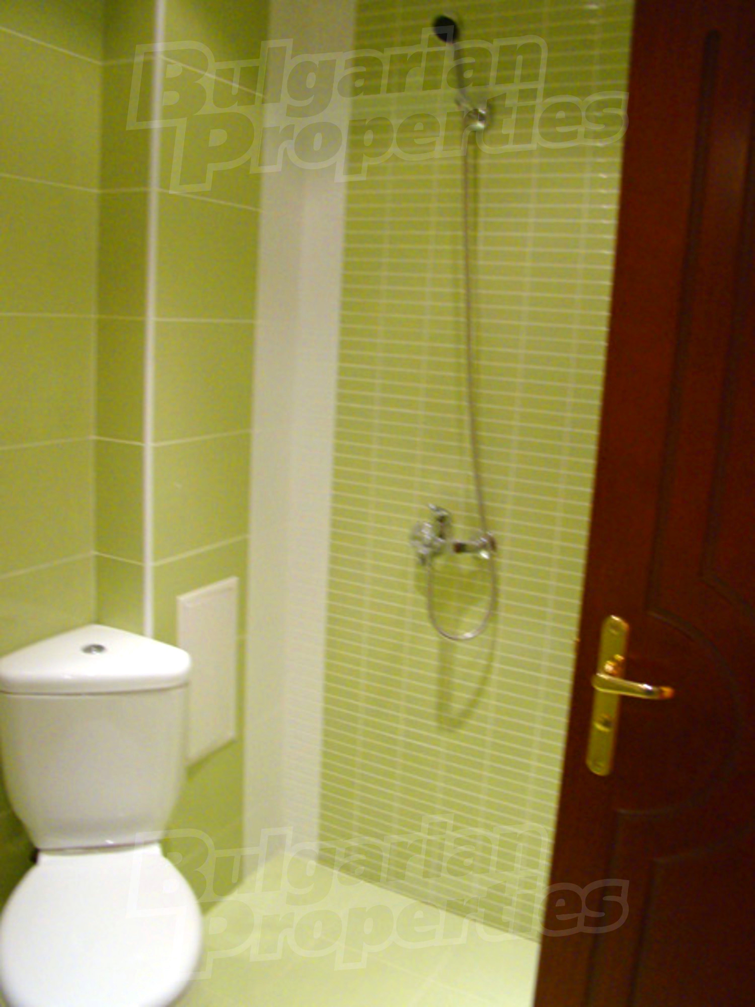 Gallery Picture 16