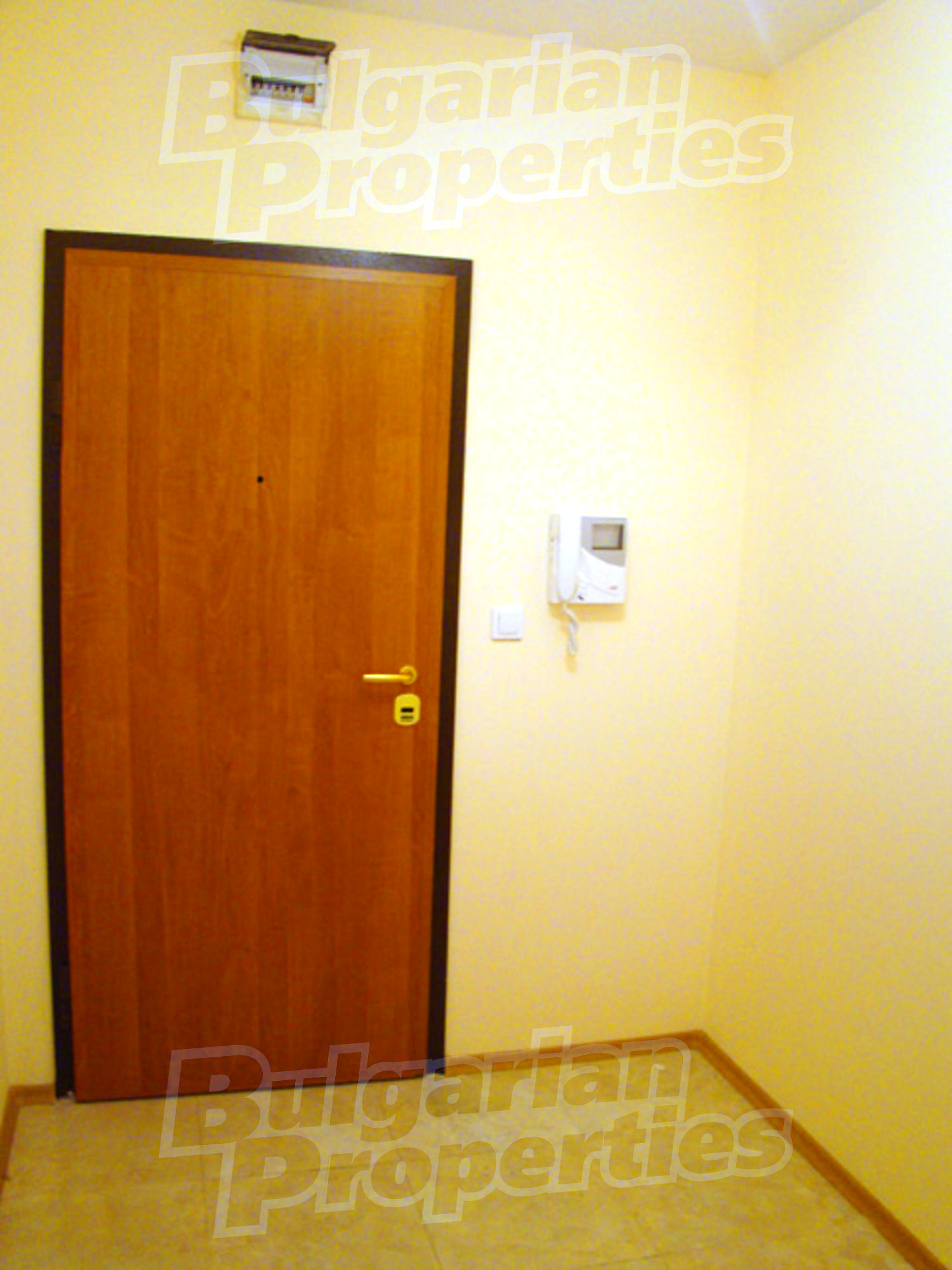 Gallery Picture 8