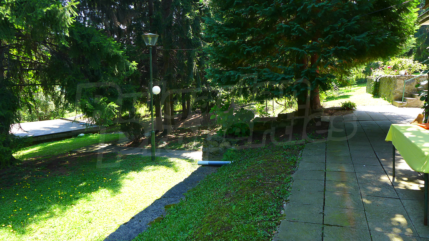 Gallery Picture 17