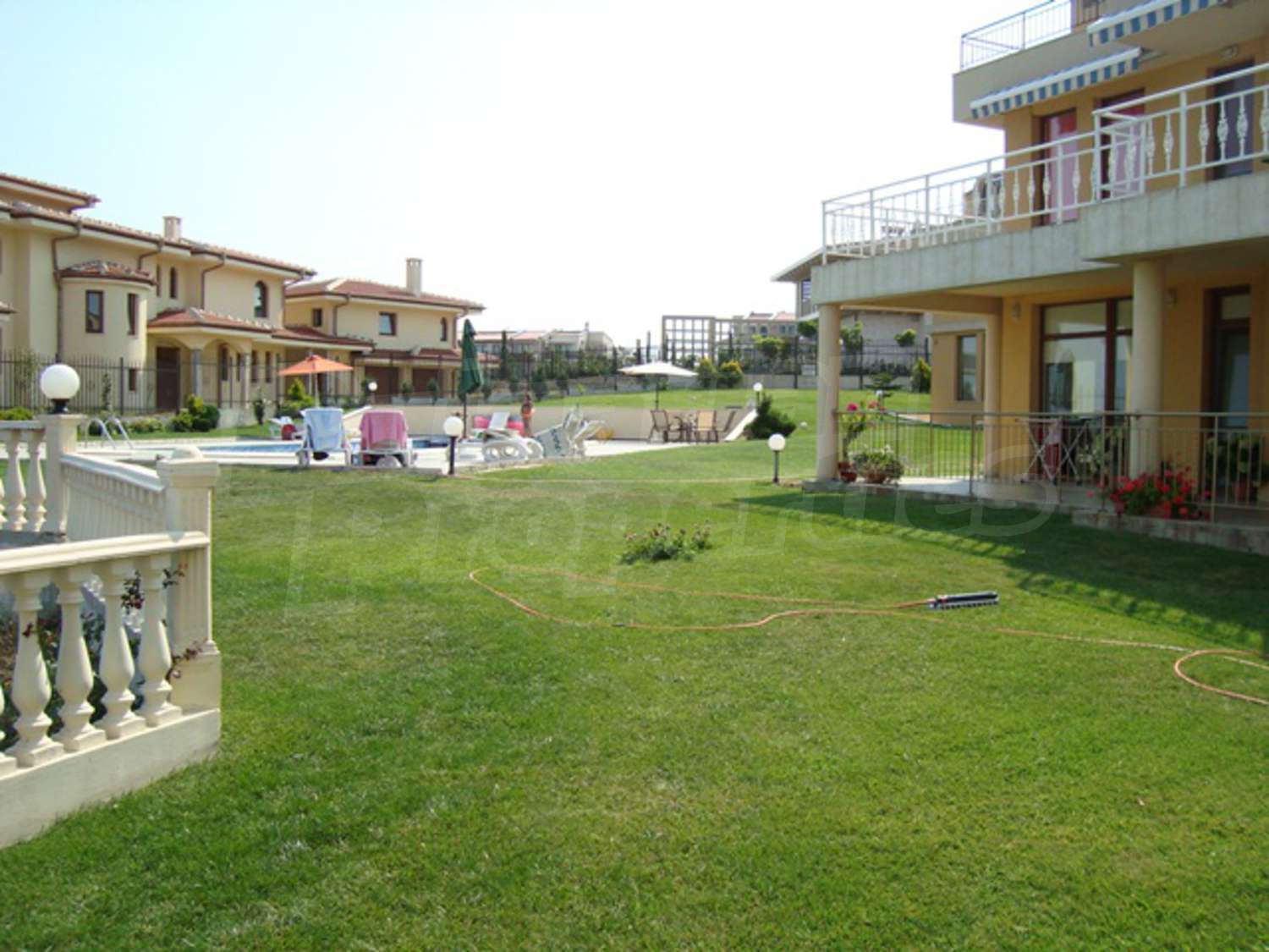 Gallery Picture 19
