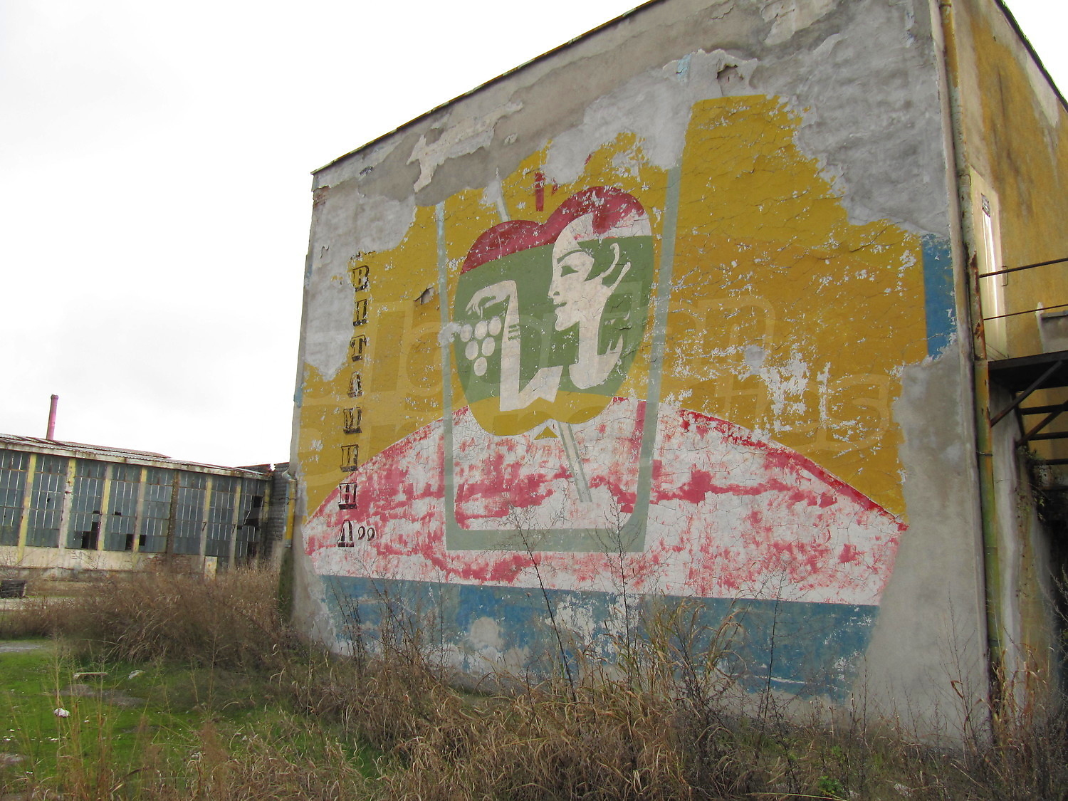 Gallery Picture 10