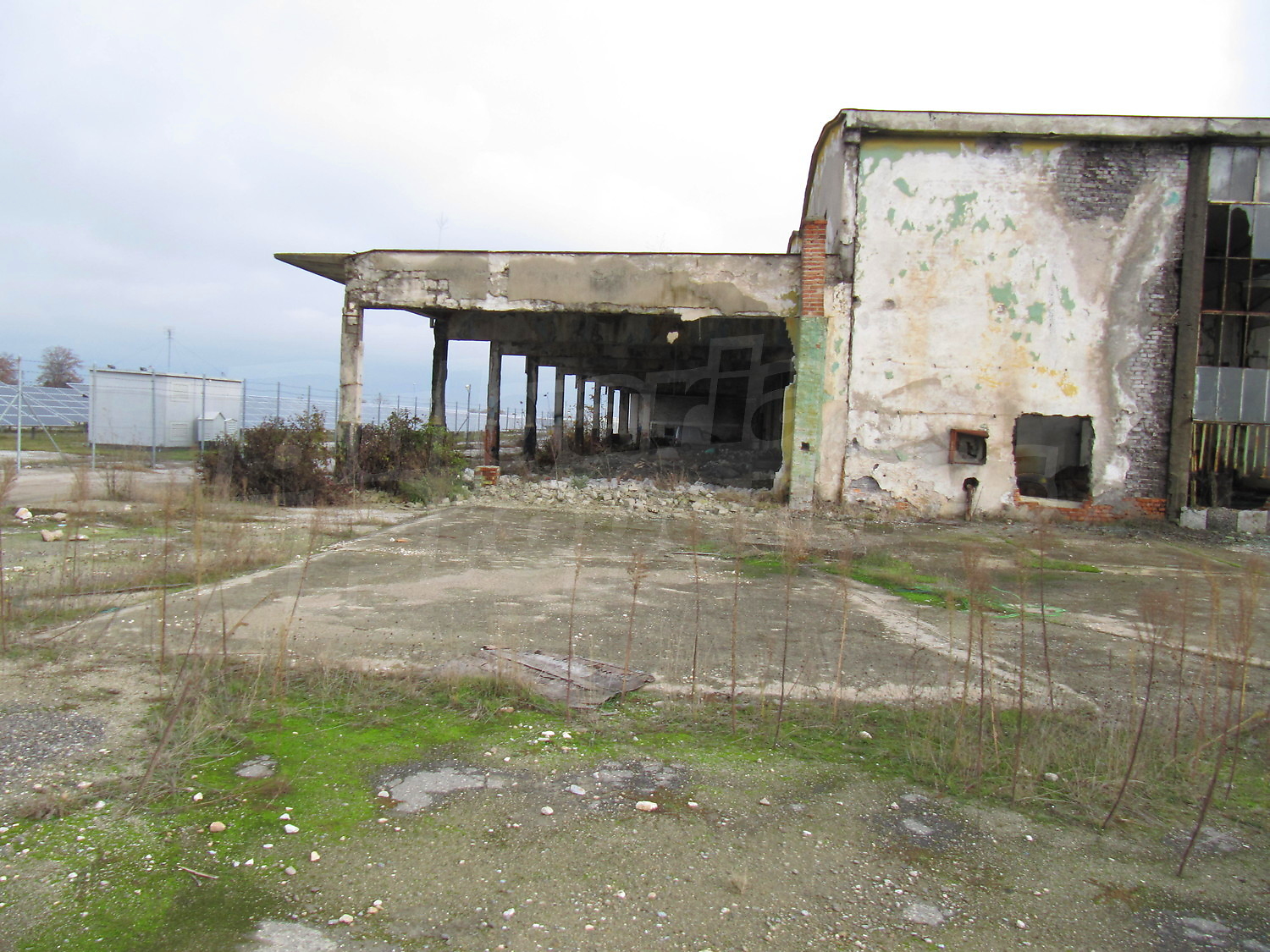 Gallery Picture 12