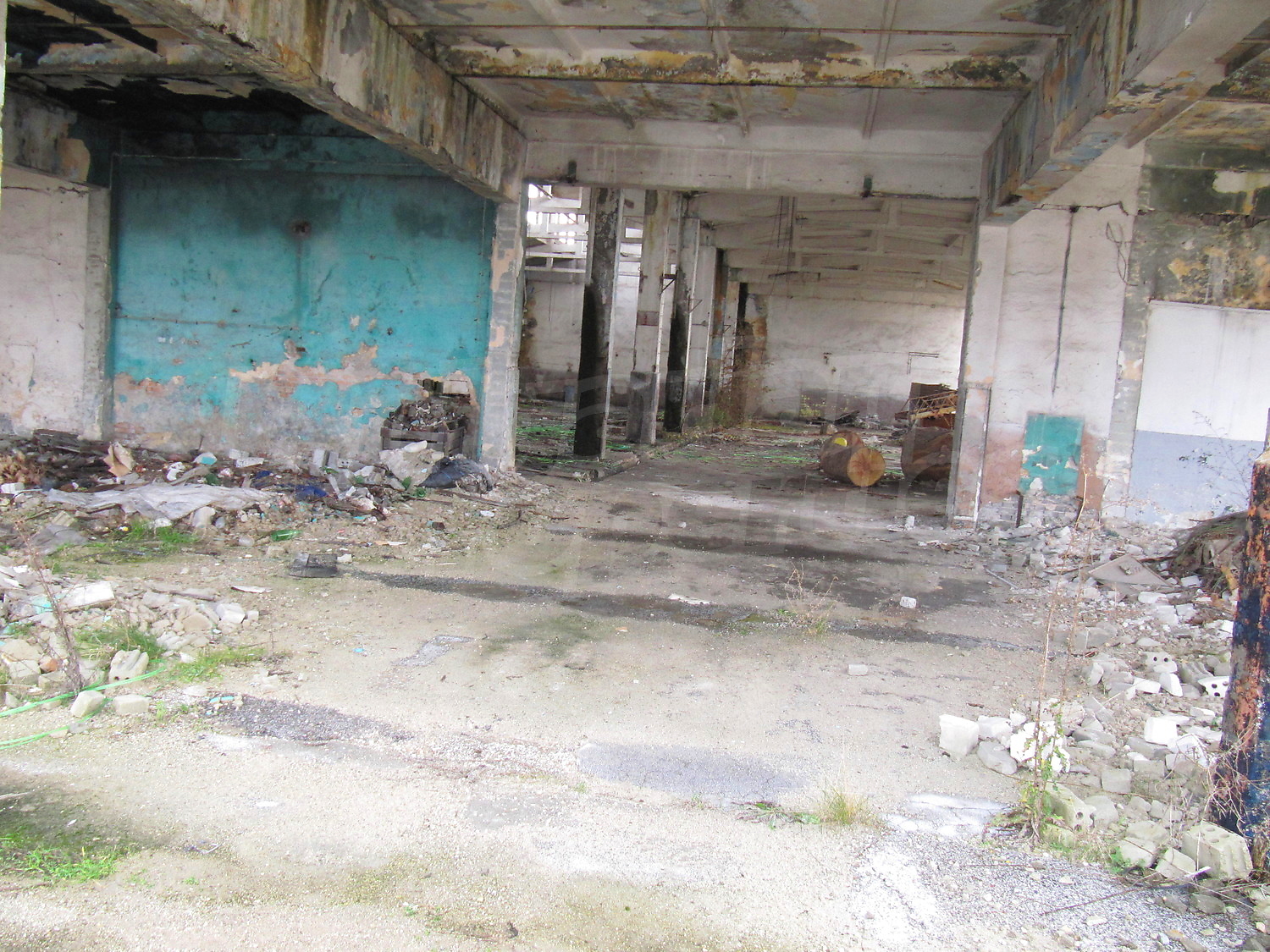 Gallery Picture 14