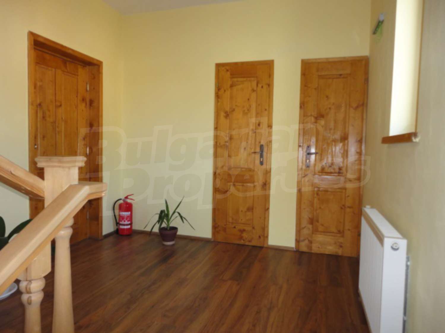 Gallery Picture 17
