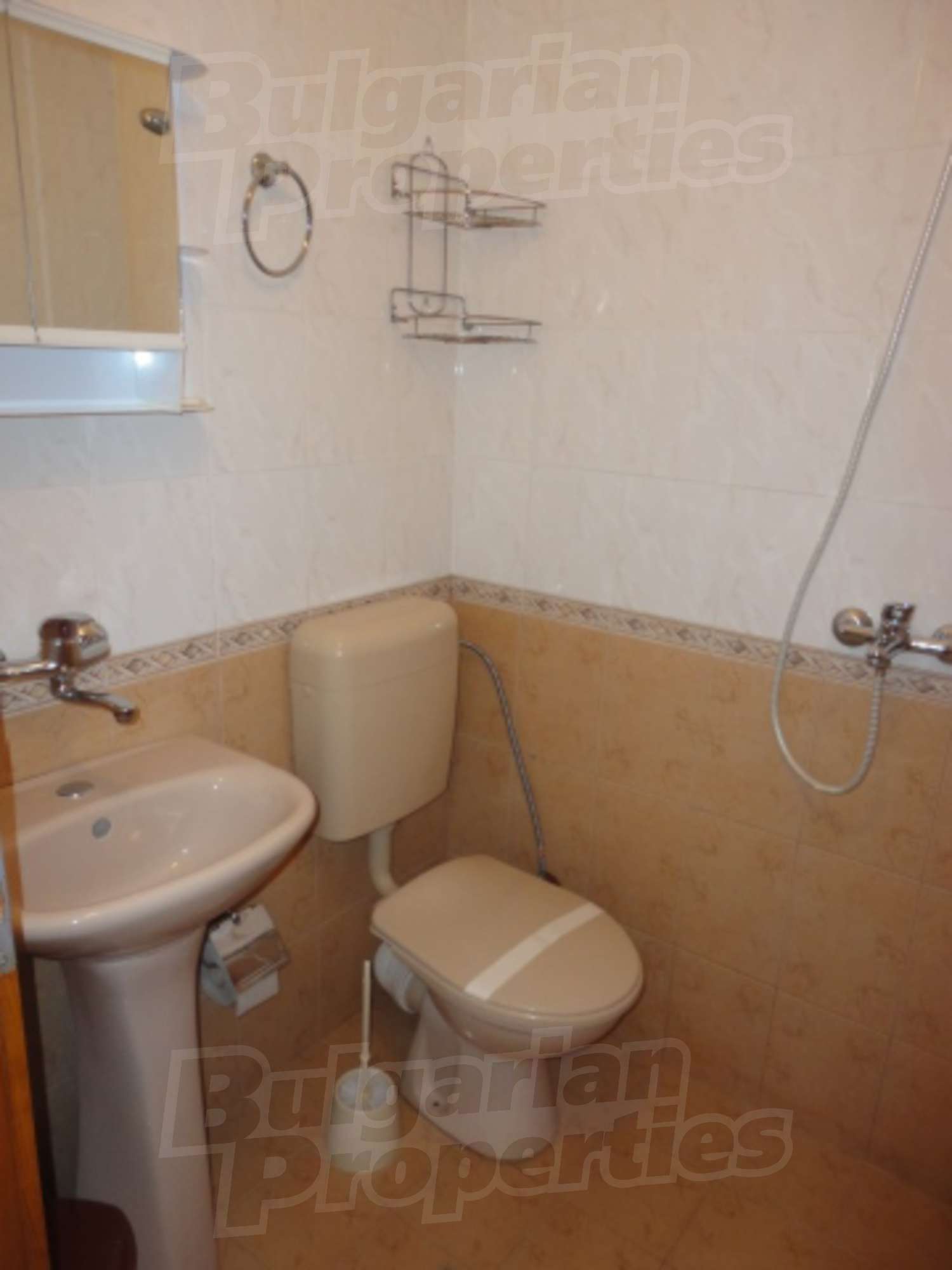 Gallery Picture 28