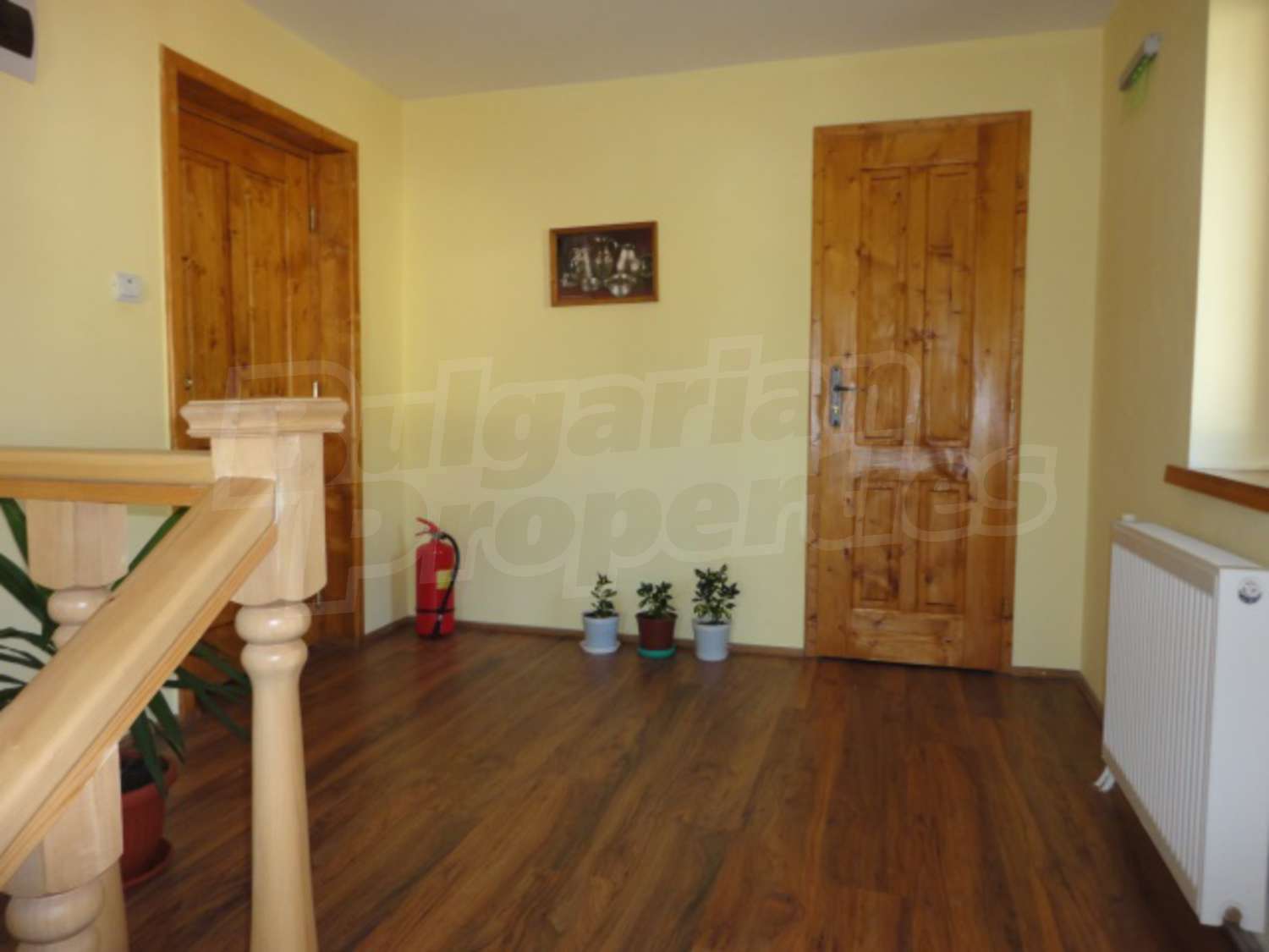Gallery Picture 31
