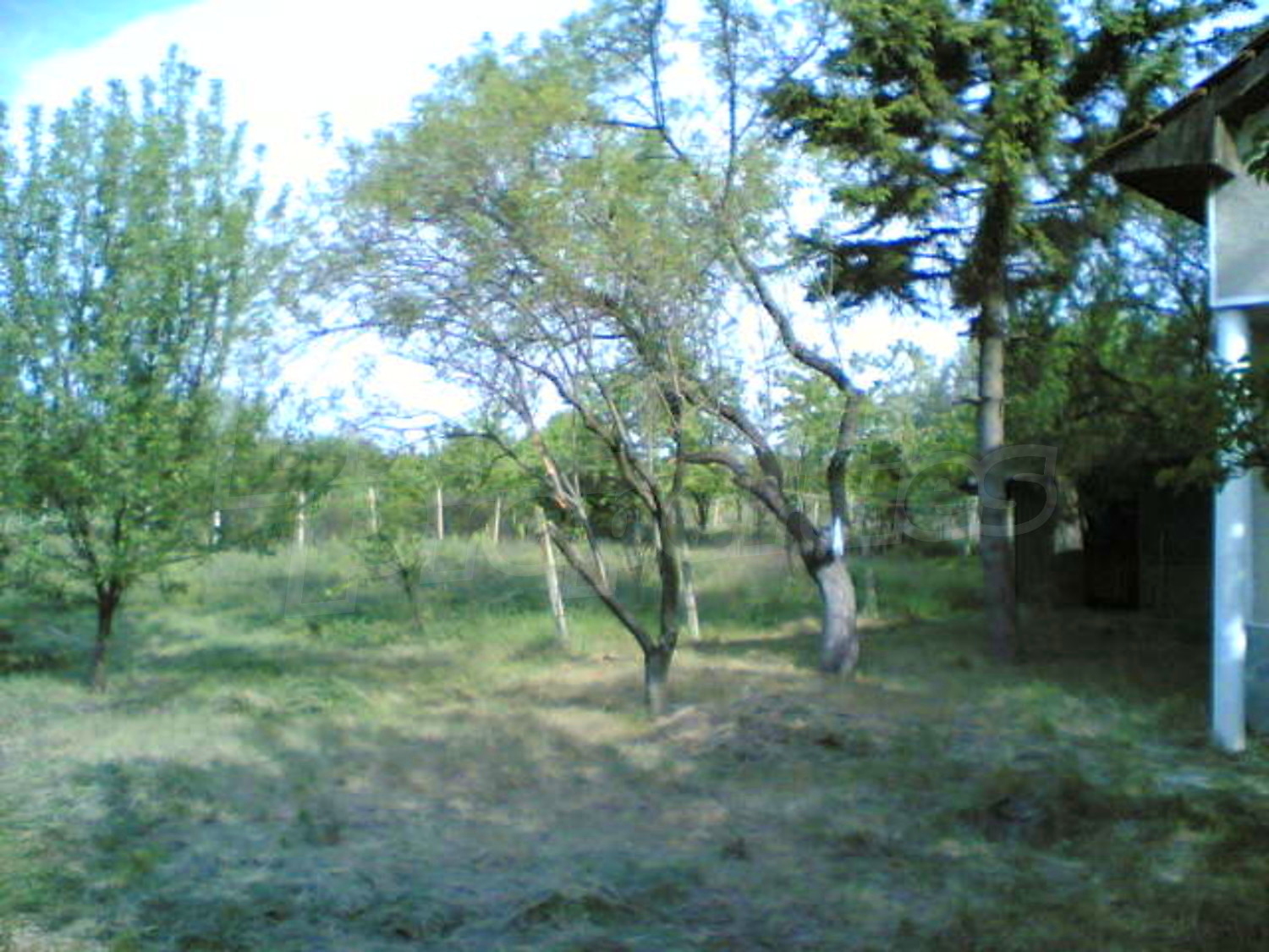 Gallery Picture 12