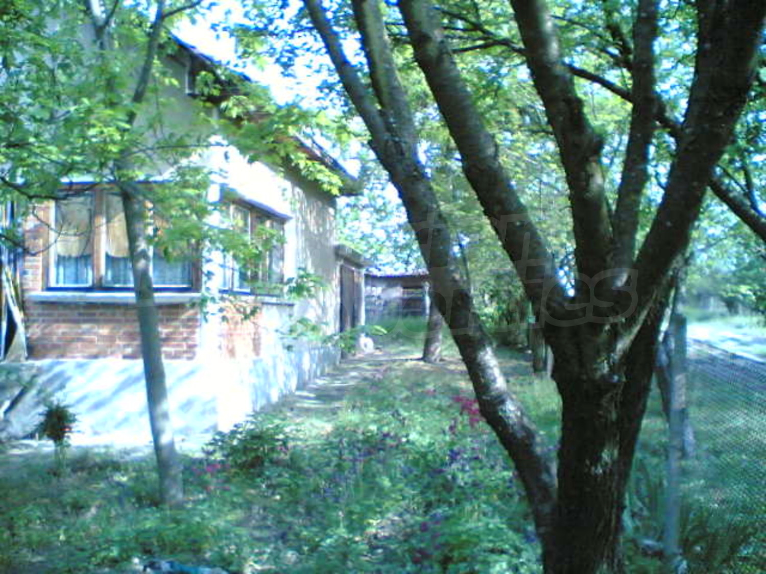 Gallery Picture 13
