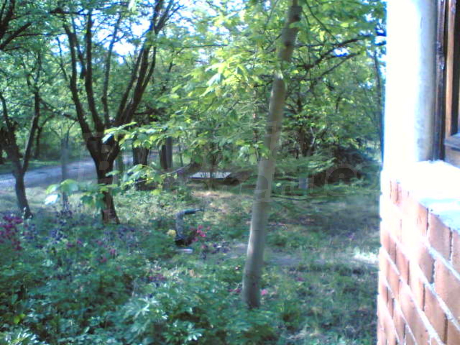 Gallery Picture 14