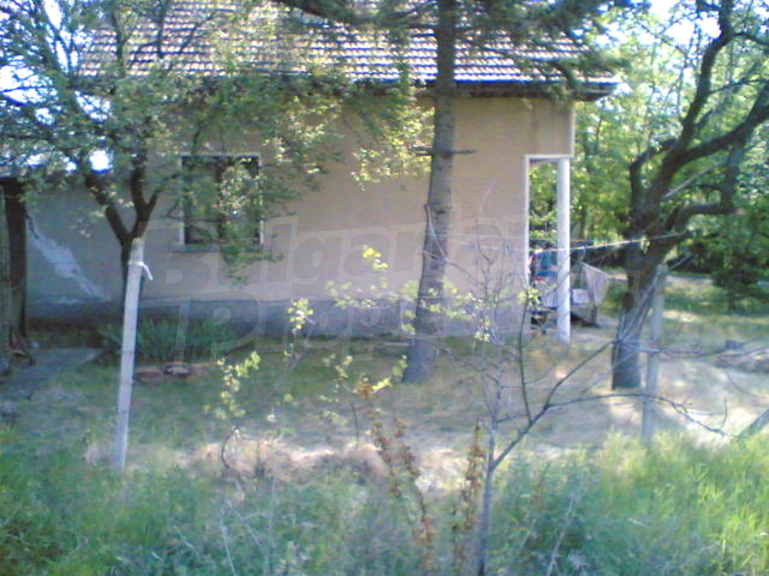 Gallery Picture 15