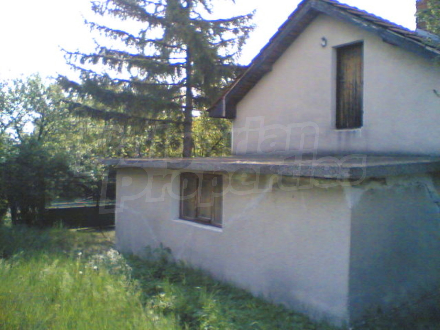 Gallery Picture 16