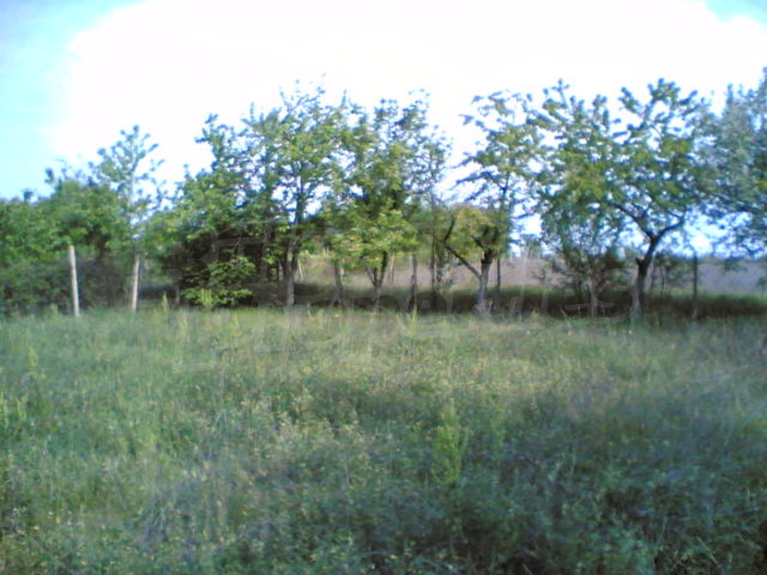 Gallery Picture 17