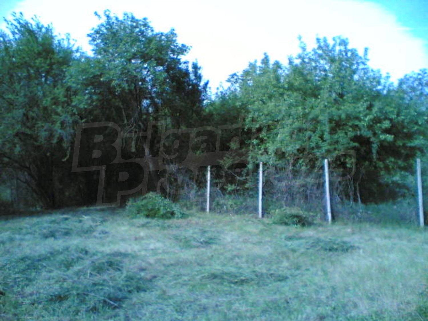Gallery Picture 18
