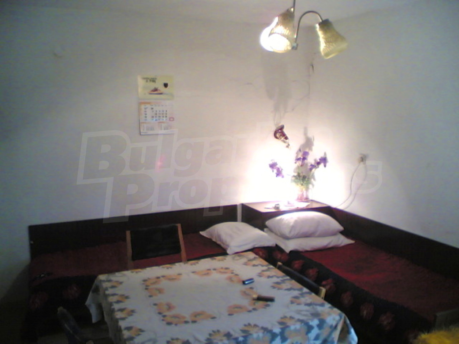 Gallery Picture 5