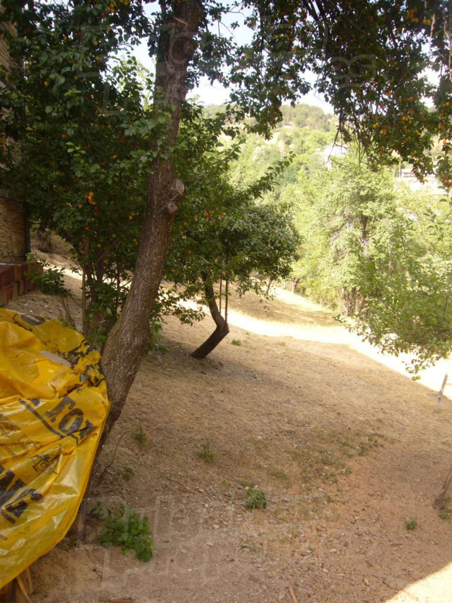 Gallery Picture 21