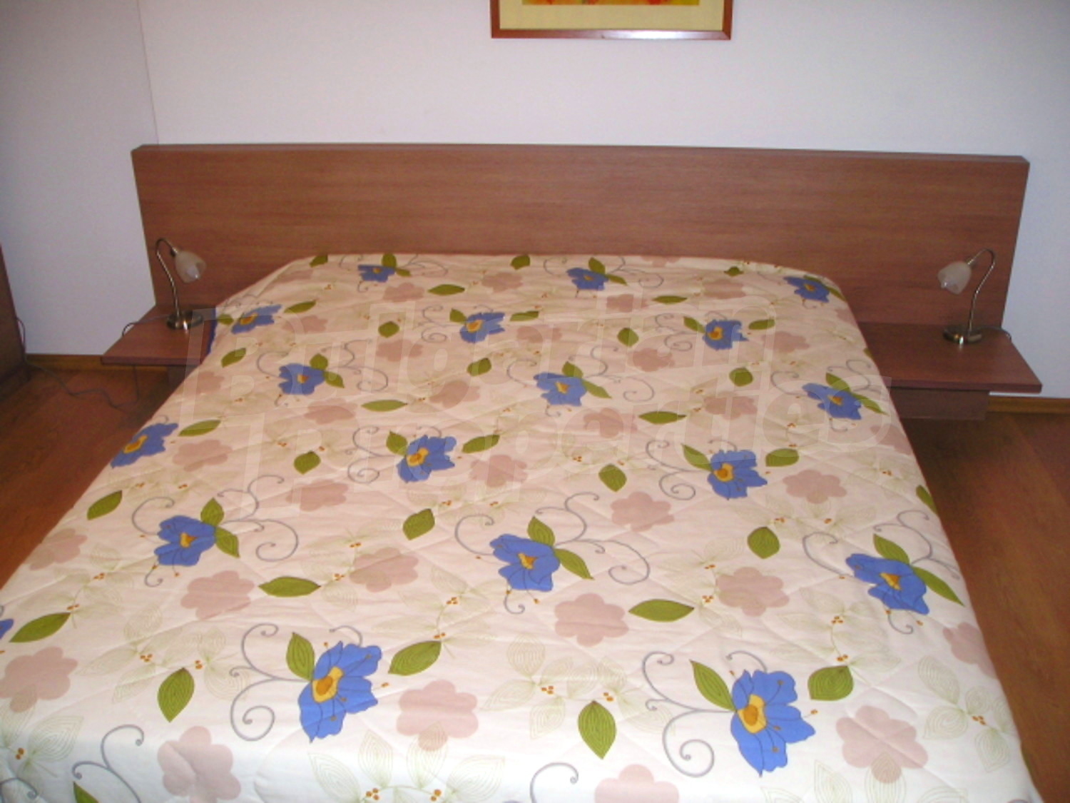 Gallery Picture 18