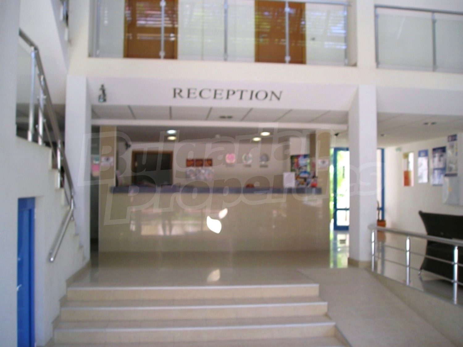 Gallery Picture 38