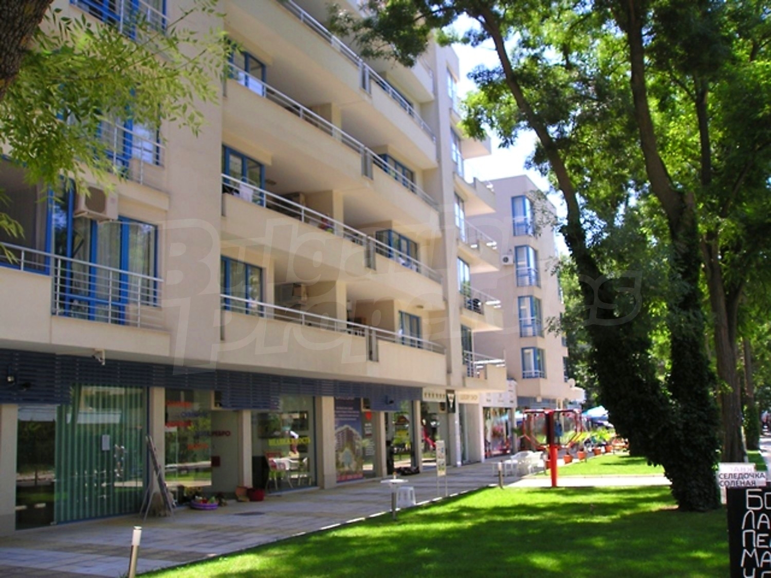 Gallery Picture 39