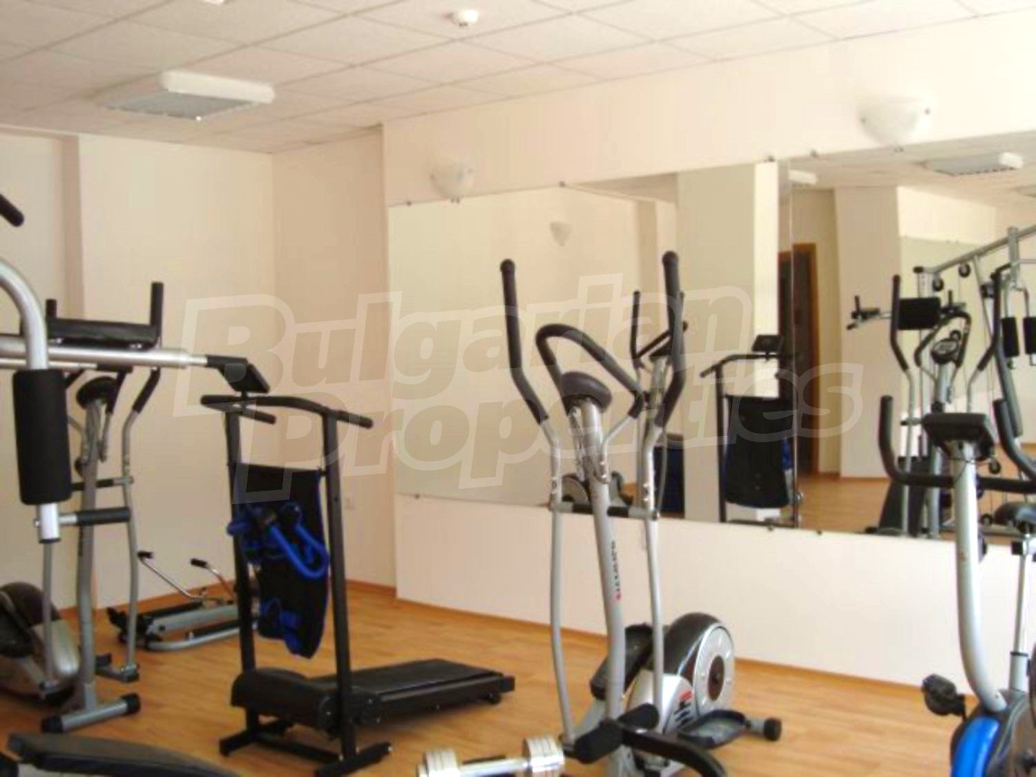 Gallery Picture 17