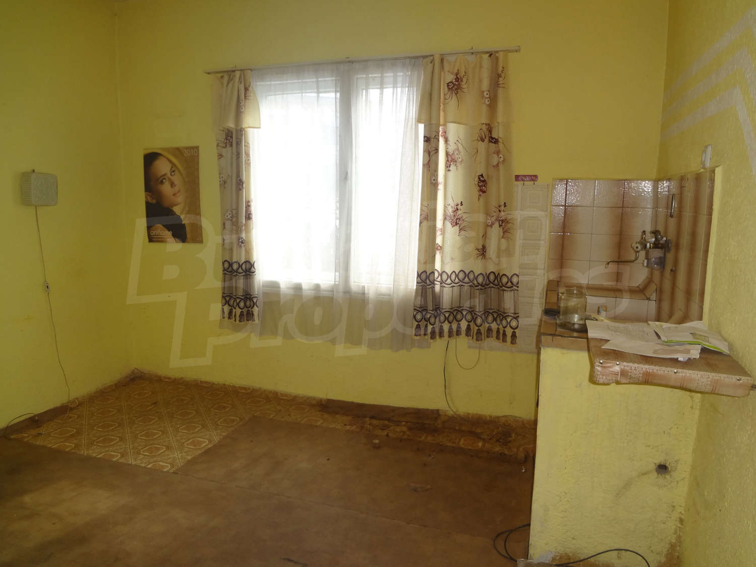 Gallery Picture 12