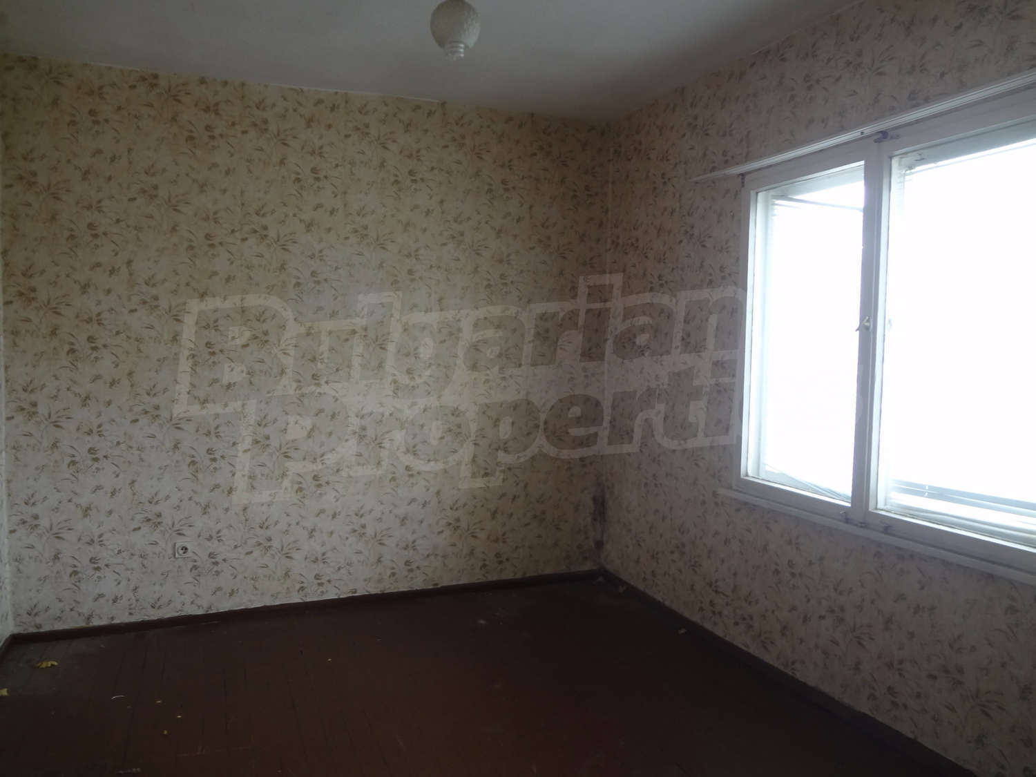 Gallery Picture 13
