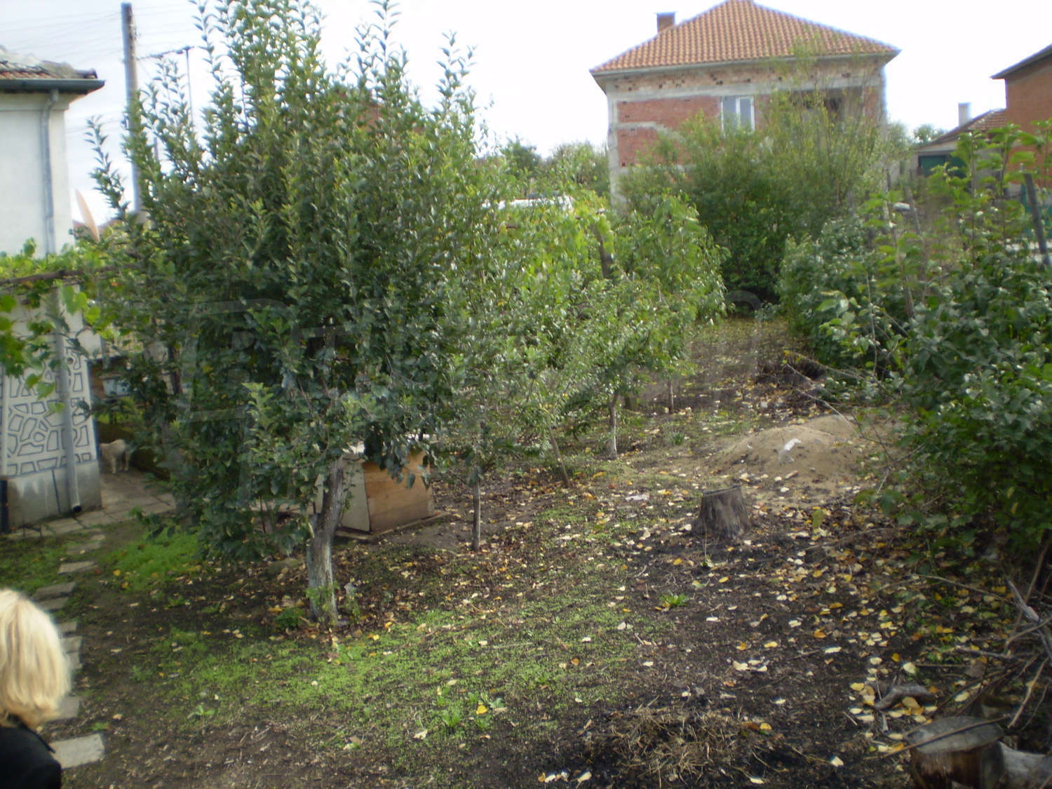 Gallery Picture 29