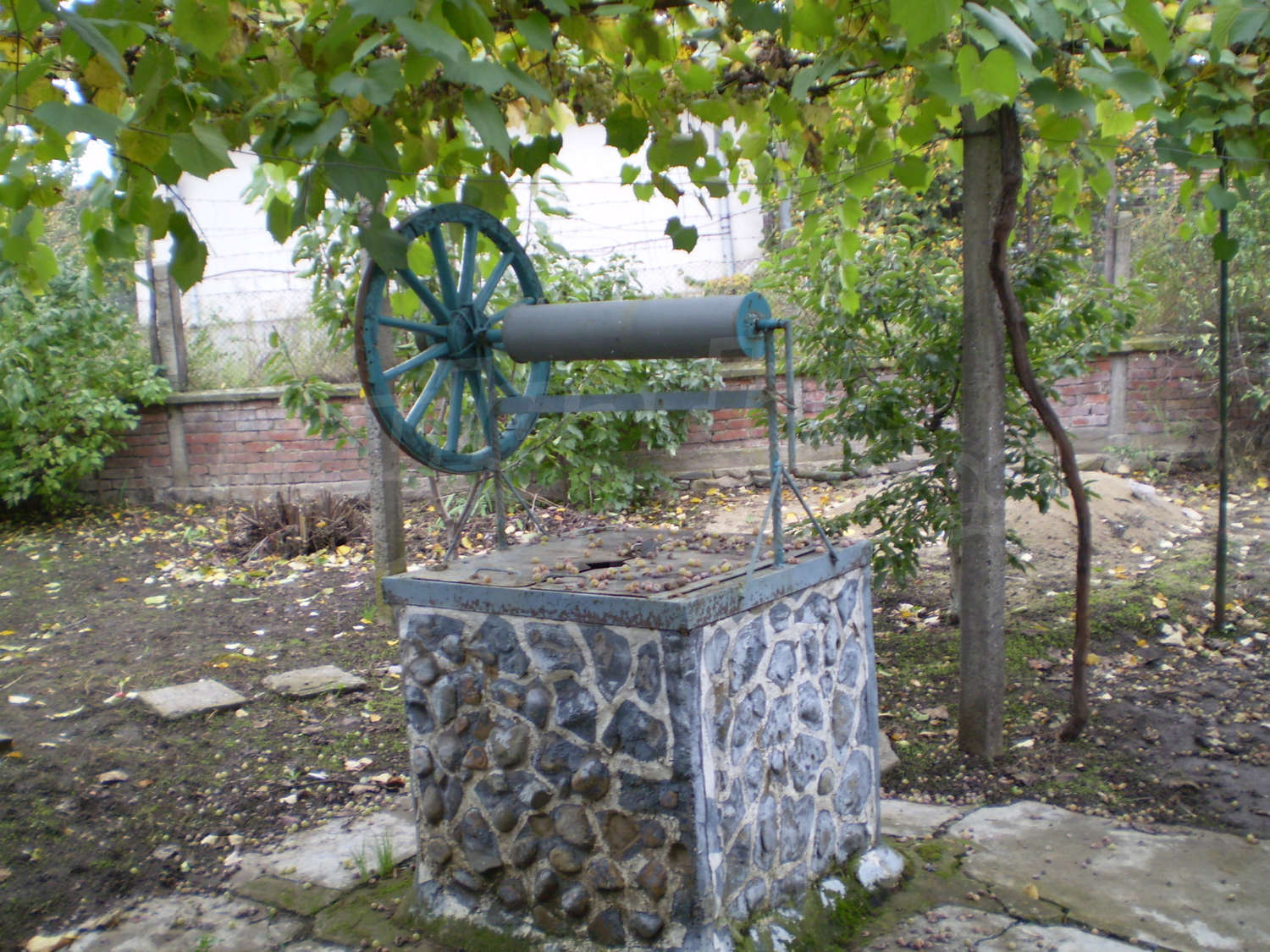 Gallery Picture 31