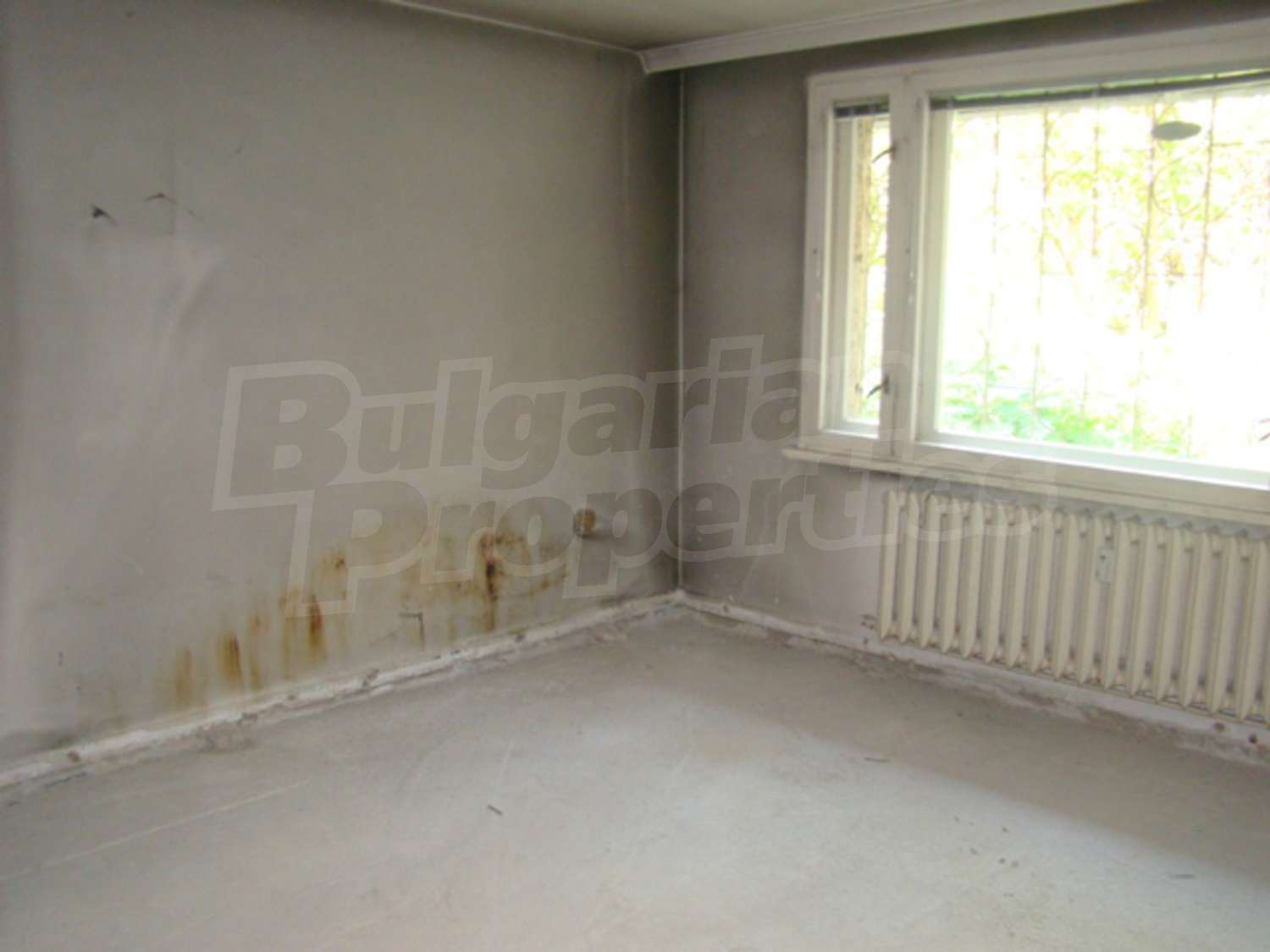 Gallery Picture 15