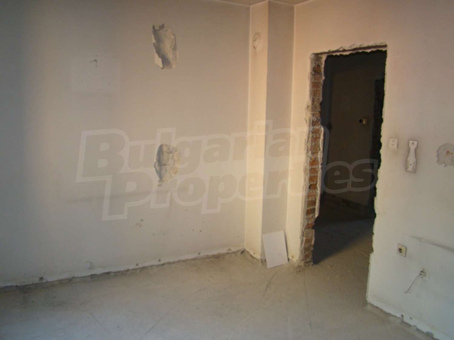 Gallery Picture 19
