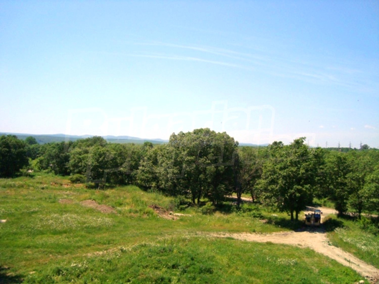 Gallery Picture 33