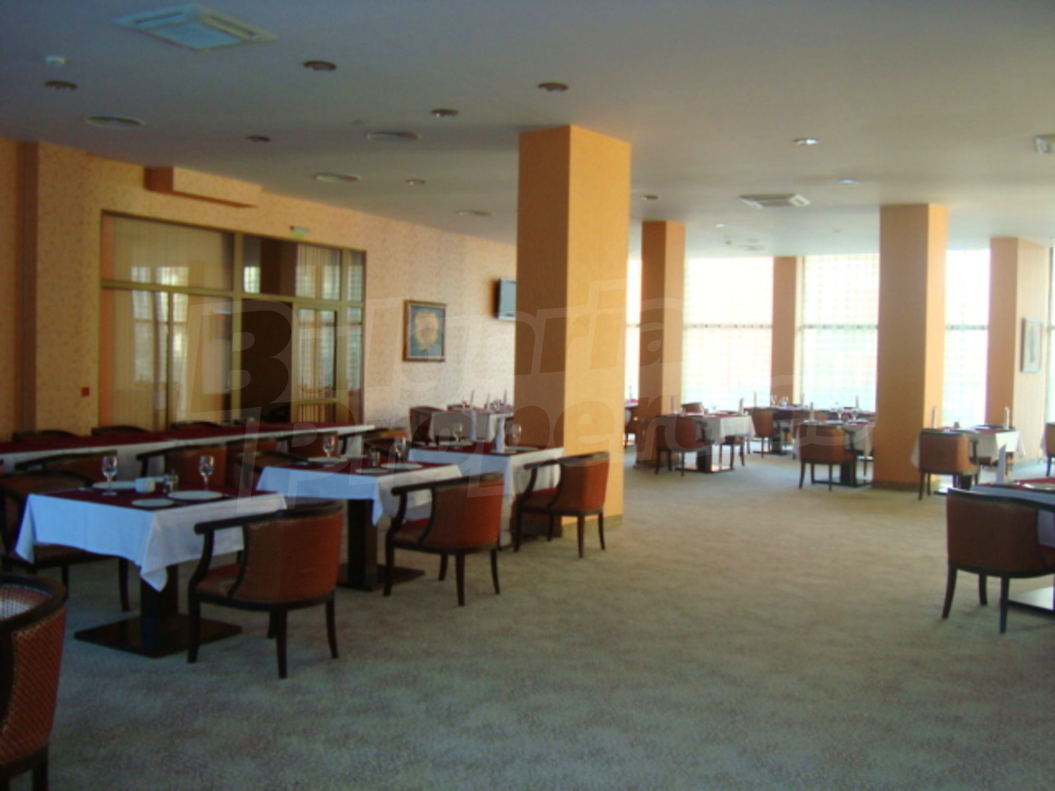 Gallery Picture 16