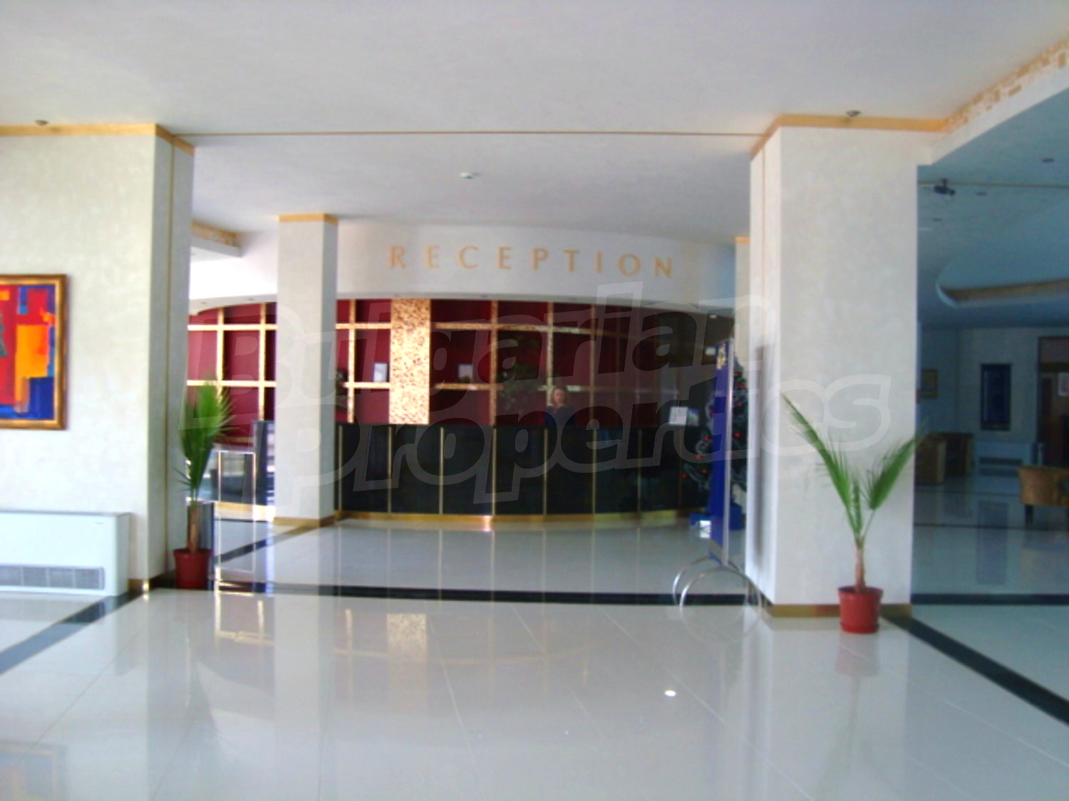 Gallery Picture 7