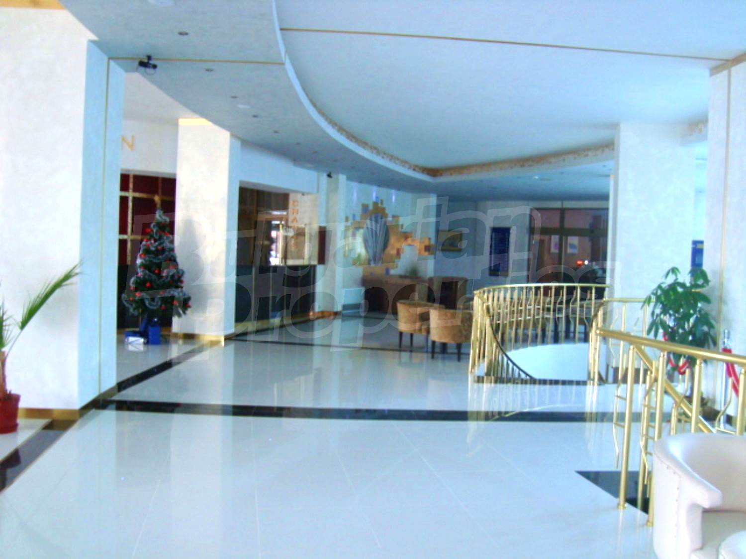 Gallery Picture 8