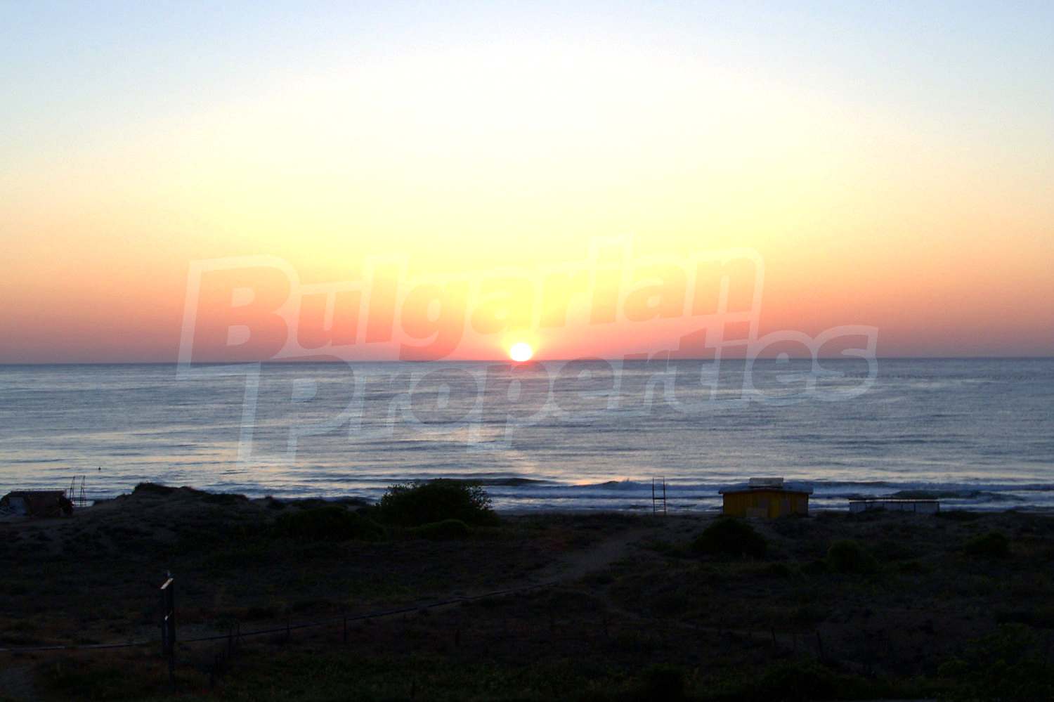 Gallery Picture 23