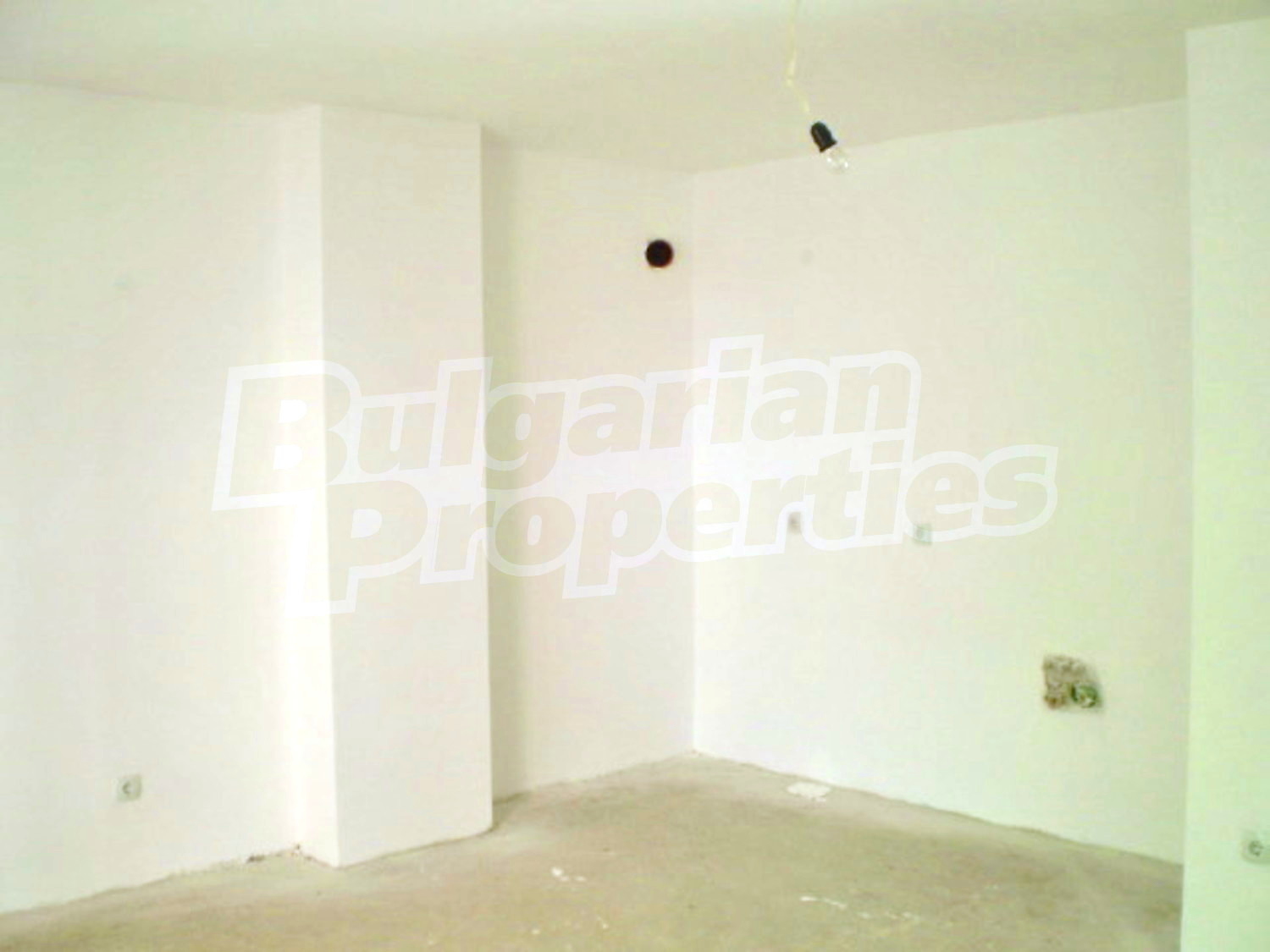 Gallery Picture 5